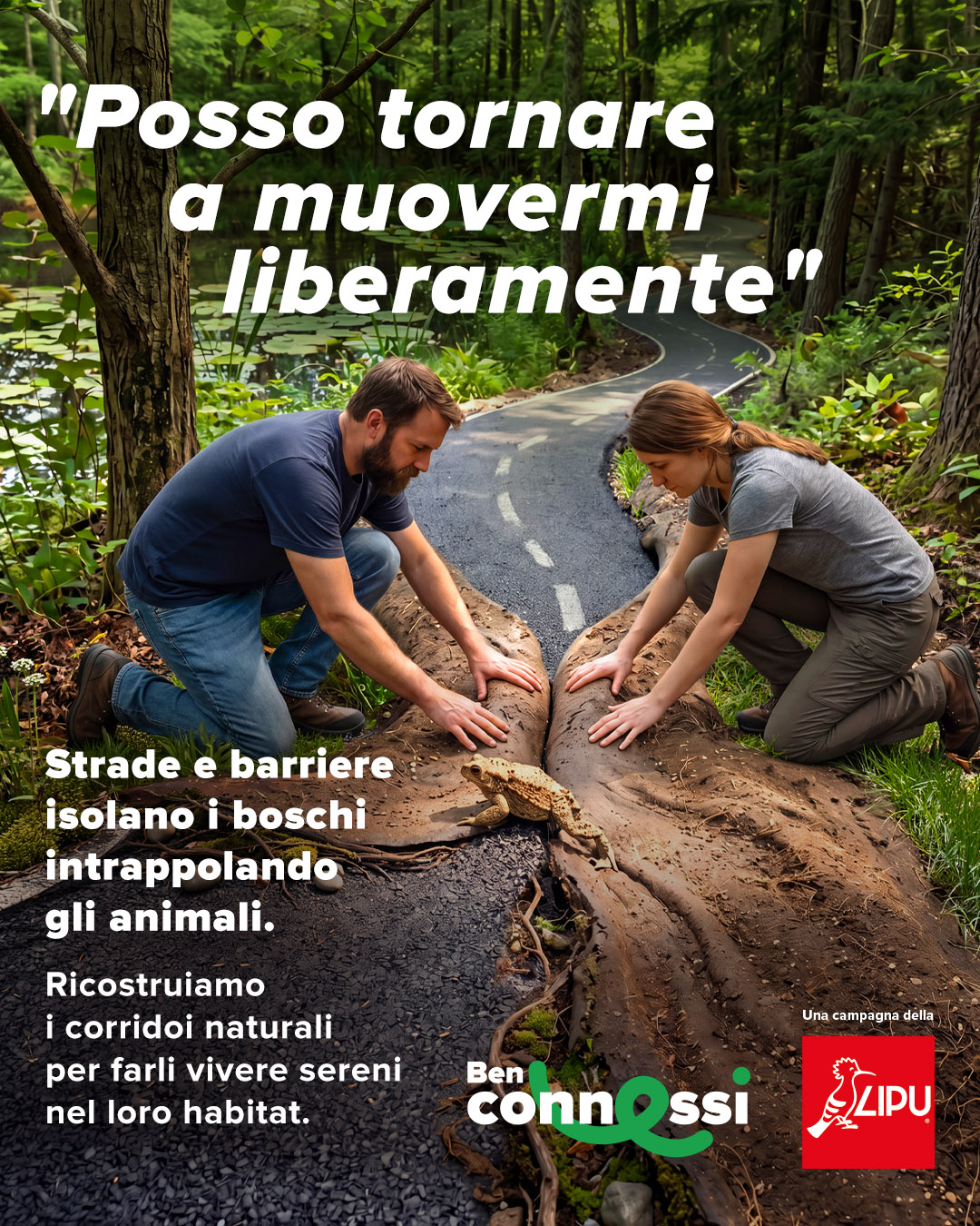 Immagine Modale 2